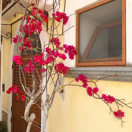 Monolocale Fior Di Pesco Apartamento